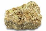 Lustrous, Yellow Apatite Crystals on Feldspar - Morocco #251134-1